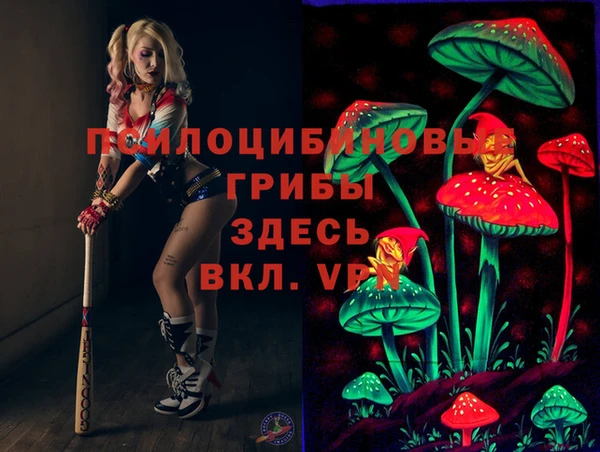 гидра Лиски
