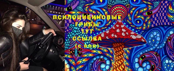 гидра Лиски