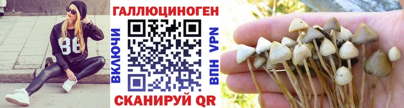 Псилоцибиновые грибы мицелий Купить Красный Сулин